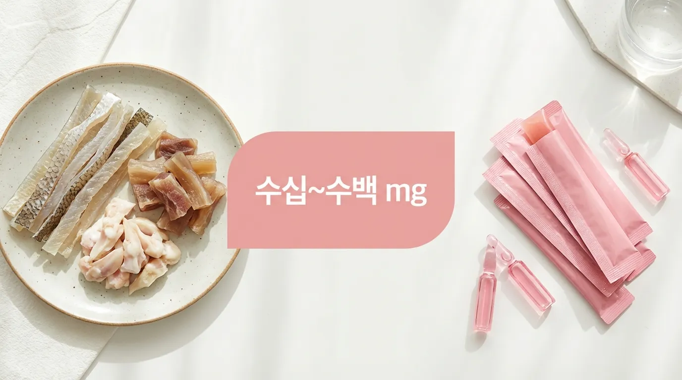 엘라스틴 섭취량 인포그래픽